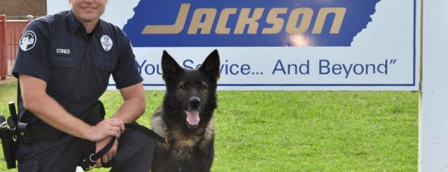 Politisch Korrekte empörten sich: US-Polizeihund darf nicht „Rommel“ heißen