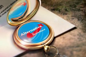 Auf Biegen und Brechen: Anwälte wollen AfD-Verbotsverfahren