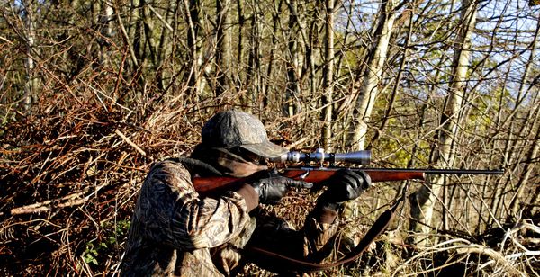 Pure Willkür: Sachsen-Anhalt entzieht AfD-Mitgliedern Waffen- und Jagdscheine