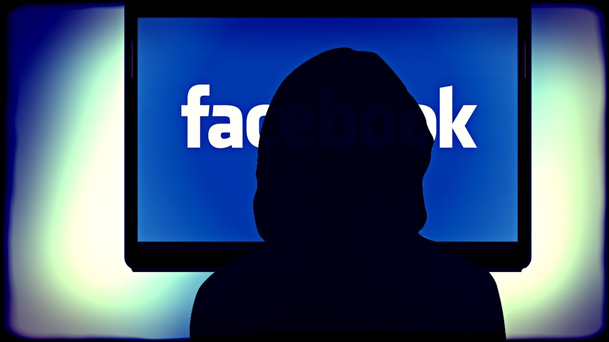 Wegen Fake-Accounts: AfD macht gegen Verfassungsschutz mobil