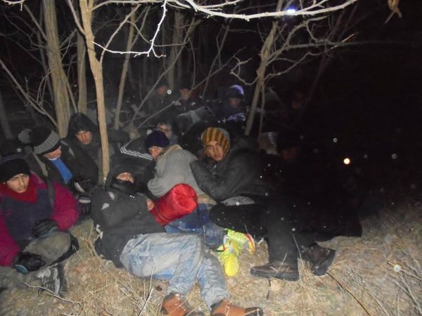 Erfolg an der spanischen Migrationsfront: 78 Festnahmen nach Schleuser-Razzia