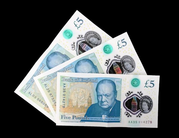 Streit um die britischen Banknoten: Genderneutrale Eichhörnchen statt Winston Churchill