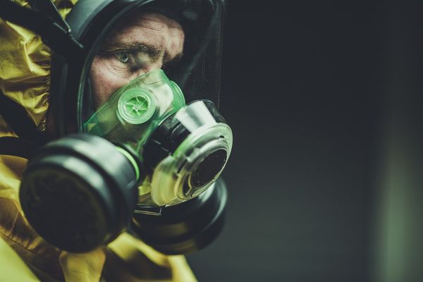Die nächste Angstmaschine: Kommt jetzt die Hantavirus-„Pandemie“?