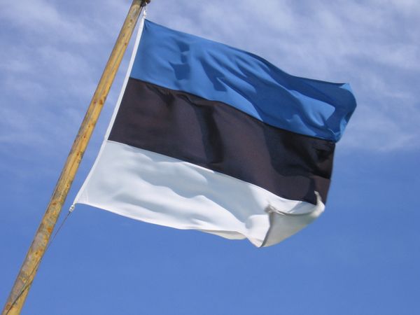 Politische Justiz: 14 Jahre Haft für estnischen NATO-Gegner