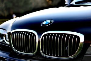 BMW kuscht vor der political correctness: Kein Dienstwagen für die AfD