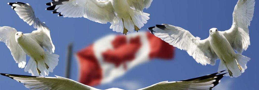 Sturz einer linken Ikone: Kanadas WEF-Zögling Trudeau tritt zurück