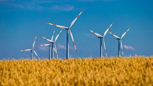 Von wegen billig und umweltfreundlich: Die wahren Kosten der Windkraft