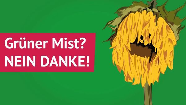 FDP-Chef Lindner über „Ampel“-Deutschland in der Welt: „Nur grüne Belehrungen“