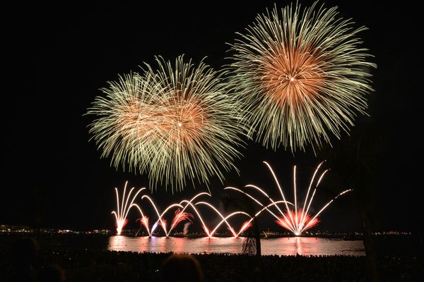 Silvester wie im Bürgerkrieg: Getötete, Verstümmelte und Hunderte Festnahmen