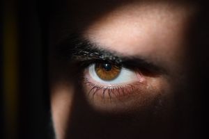 Noch mehr Überwachung: Der VS darf künftig einbrechen, manipulieren, Daten löschen