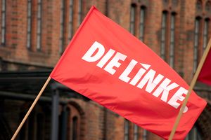 Kommunisten können nicht anders: Linke will enteignen