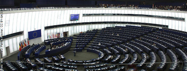 Statt 705 nur 352 Abgeordnete: FPÖ-Vilimsky schlägt Halbierung des EU-Parlaments vor