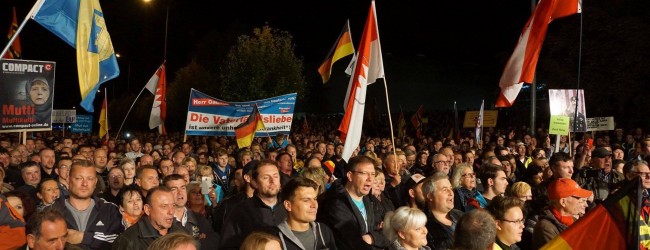 Wieder über 8.000 bei AfD-Demonstration gegen Asylpolitik in Erfurt