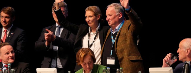 EILMELDUNG: Weidel und Gauland mit 86 Prozent zu AfD-Fraktionsvorsitzenden im Bundestag gewählt