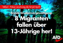Schockierender „Einzelfall“: Gruppenvergewaltigung einer 13Jährigen durch Bulgaren – AfD: „Was müssen das für Bestien sein?“
