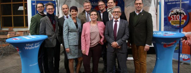 AfD-Nominierungsparteitag: Die ersten 13 Kandidaten für die Wahl zum EU-Parlament stehen fest