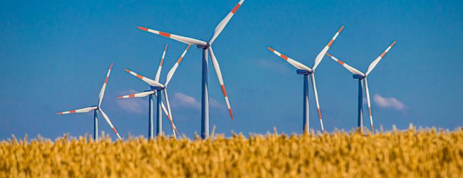 Energiewende-Flop in Deutschland: Nach der Solarindustrie bricht jetzt auch die Windkraft-Branche ein