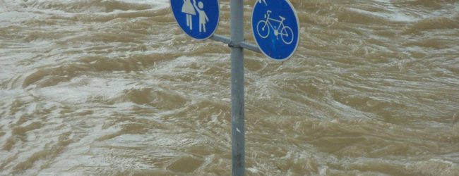 Asoziale „Unbekannte“: Hochwasserschutz von Grimma vorsätzlich demoliert