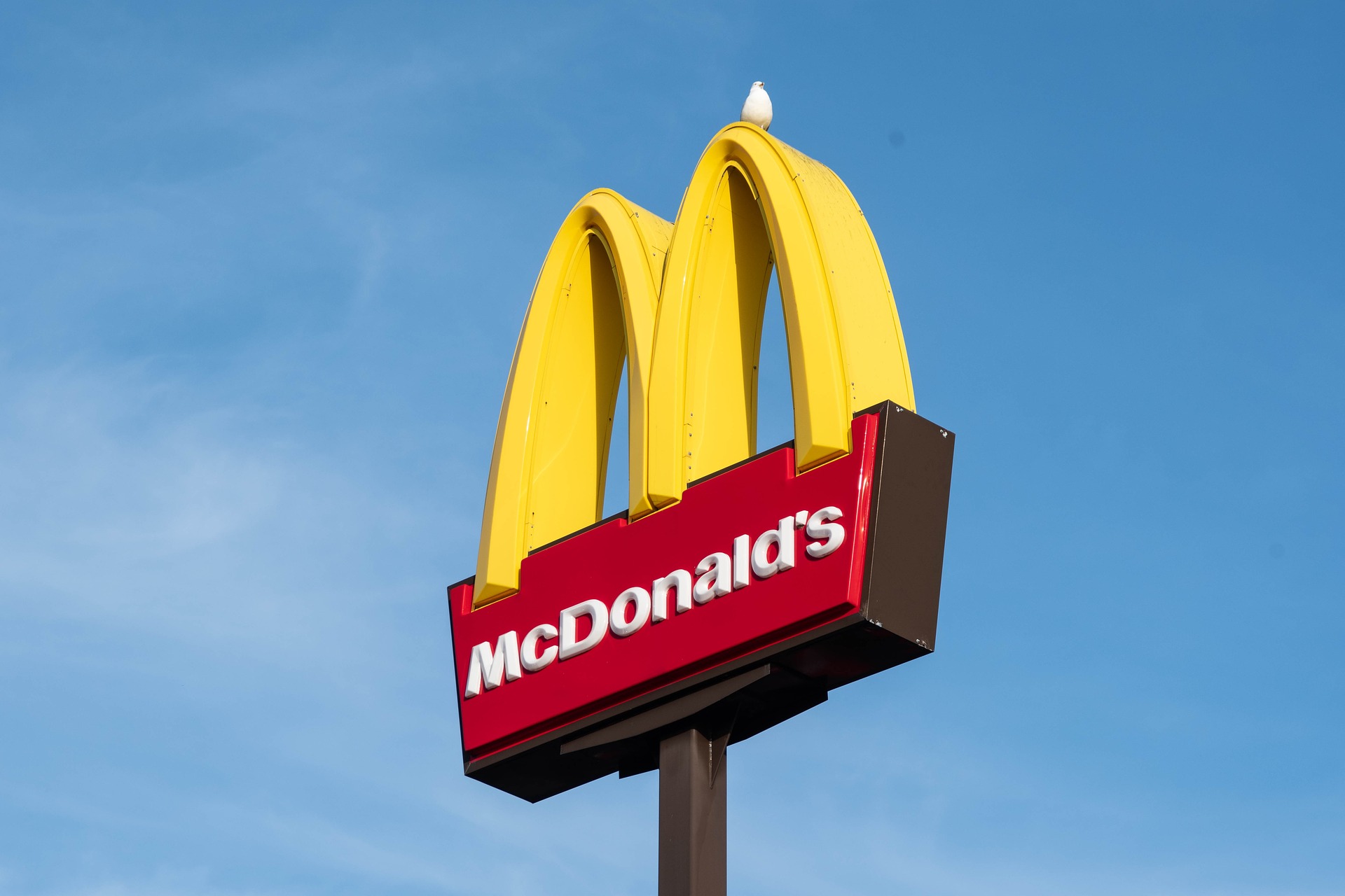 McDonalds und die westlichen Werte: Zum „Pride Month“ gibt´s „Rainbow-Sticks“