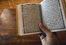 Nach Koran-Verbrennung: Schwedische Muslime proben den Aufstand