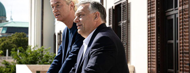 Orbán ehrt Geert Wilders: „In Anerkennung der Arbeit für die Eindämmung der illegalen Einwanderung“
