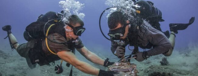 Wettrüsten auf dem Meeresgrund: „Seabed Warfare“ eröffnet der Unterwasser-Kriegsführung ganz neue Perspektiven