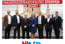 „Potsdamer Erklärung“: AfD-Fraktionschefs mahnen migrationspolitische Wende an