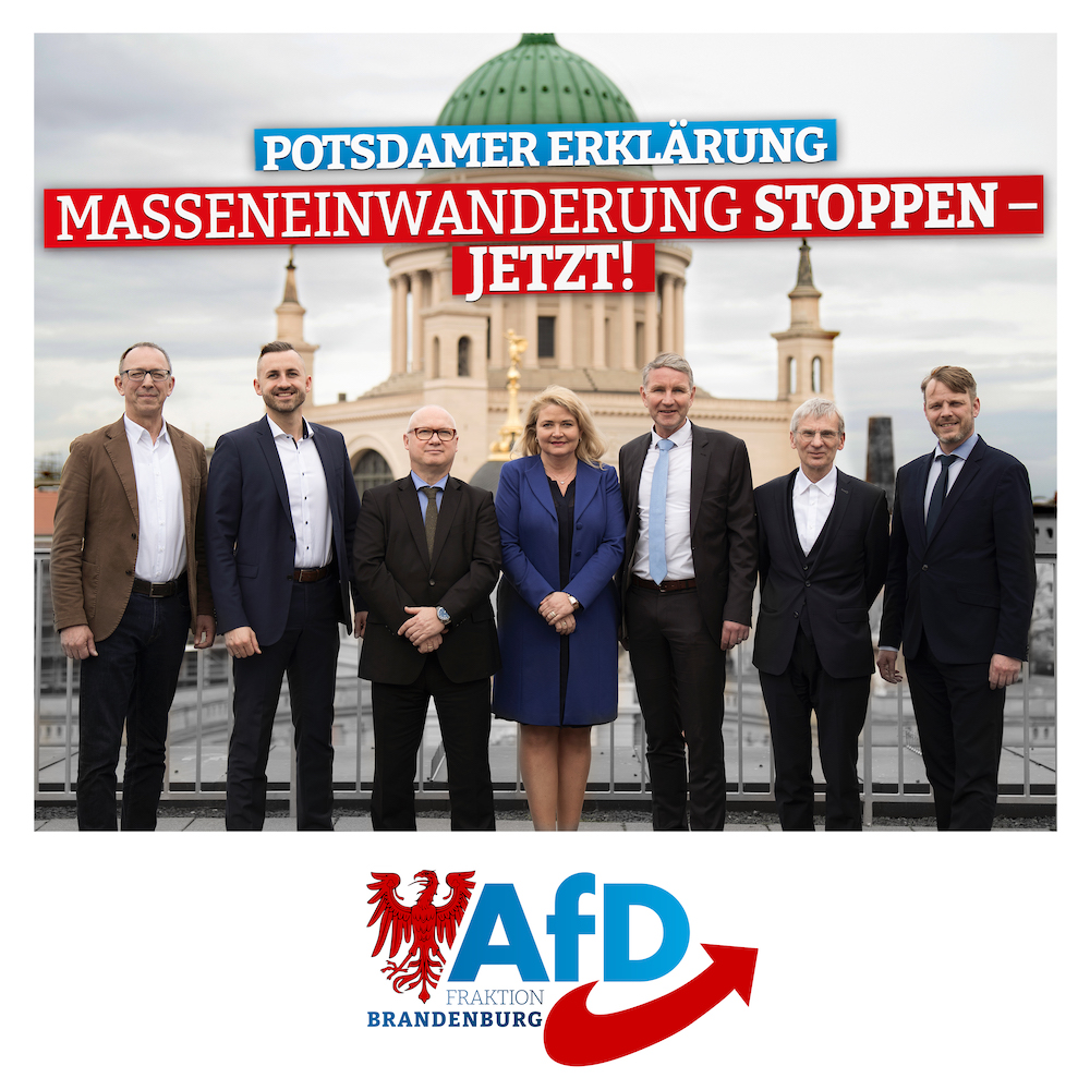 „Potsdamer Erklärung“: AfD-Fraktionschefs mahnen migrationspolitische Wende an