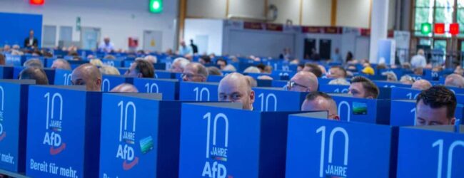 Parteitag in Magdeburg: AfD schießt sich auf Abwicklung der EU ein