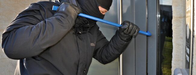 Nach Raubdelikt in Dresden: AfD prangert CDU-Versagen an