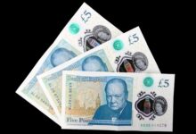 Streit um die britischen Banknoten: Genderneutrale Eichhörnchen statt Winston Churchill