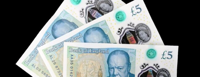 Streit um die britischen Banknoten: Genderneutrale Eichhörnchen statt Winston Churchill