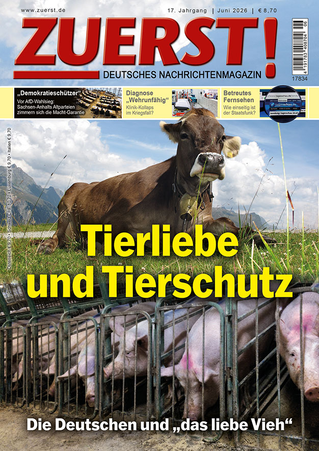 titelseite zuerst11-2014